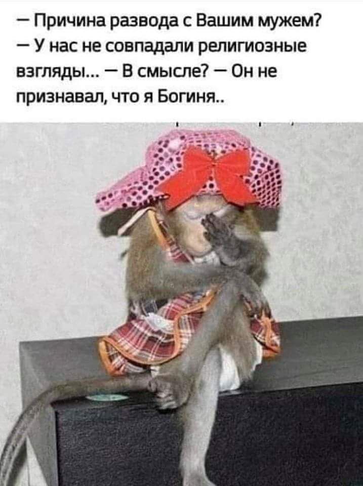 Причина развода с Вашим мужем У нас не совпадали религиозные взгляды В смысле Он не признавал что я Богиня