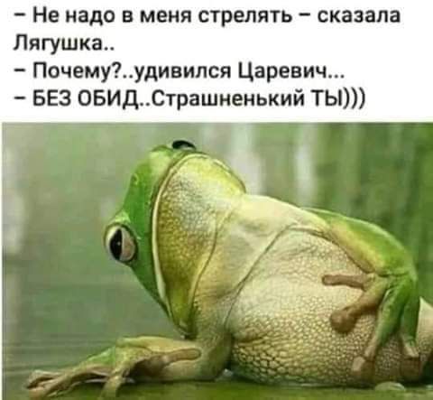 Не надо в меня стрелять сказала Лягушка Почемуудивипся Царевич БЕЗ ОБИДСтрашненький ТЫ
