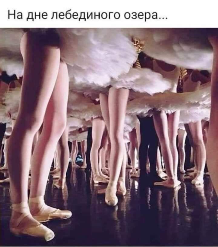 На дне лебединого озера