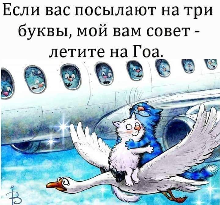 Если вас посылают на три буквы мой вам совет летите на Гоа