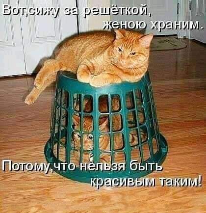 Птгащут епнея быть дм плаким!