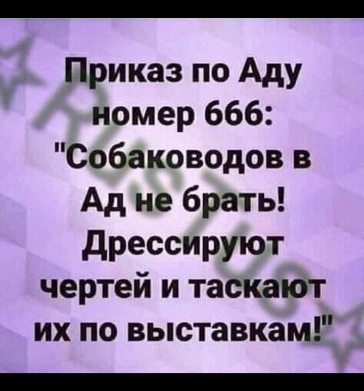 Приказ по Аду номер 666 Собаководов в Ад не брать дрессируют чертей и тасКаЮт их по выставкам т 2