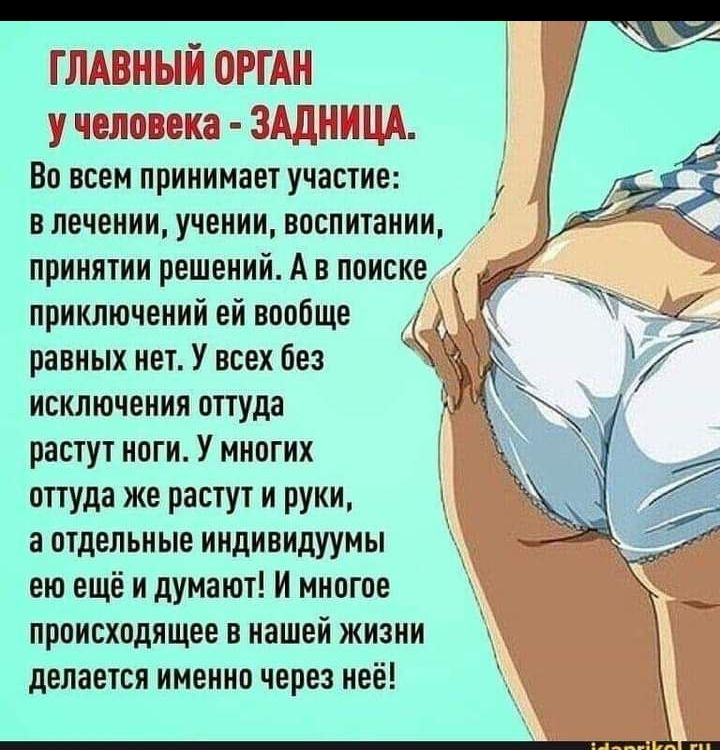 ит к т г 1Чт Во всем принимает участие в лечении учении воспитании принятии решений А в поиске 74 приключений ей вообще __ __ равных нет У всех без исключения оттуда растут ноги У многих оттуда же растут и руки а отдельные индивидуумы ею ещё и думают И многое происходящее в нашей жизни делается именно через неё