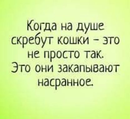 Когда на душе скребут кошки  это не просто так. Это они закапывают насранное.  5