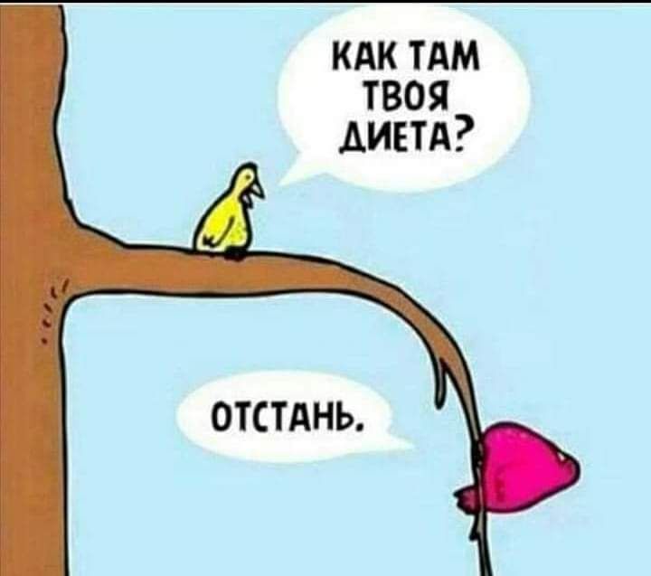 кдк тдм твоя диетд ОТСТАНЬ