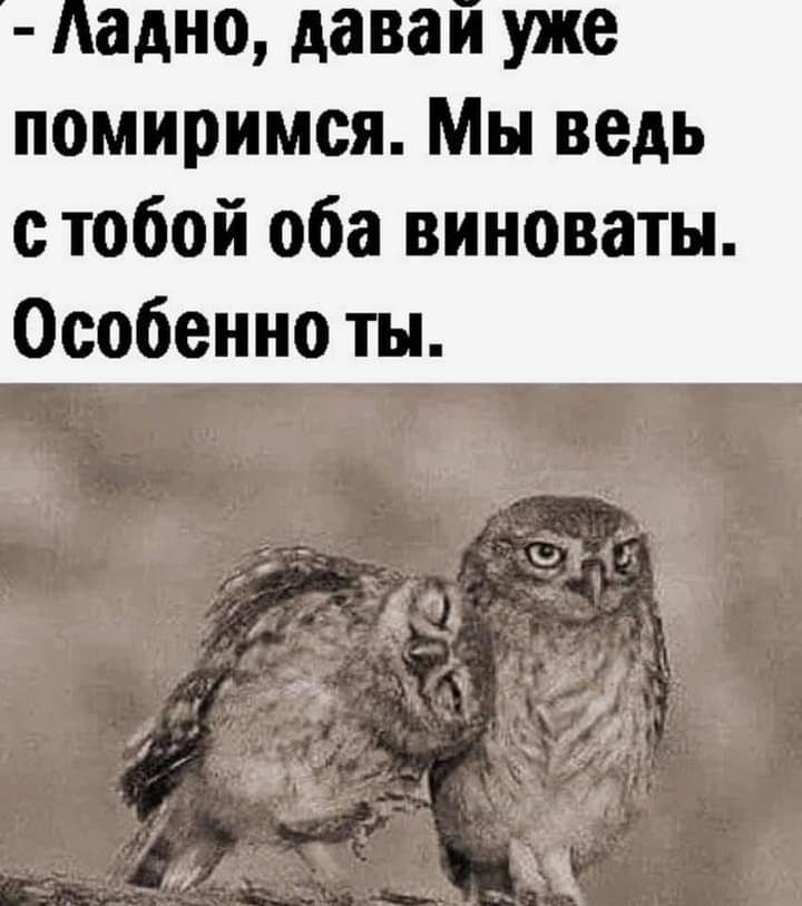 адно даваи уже помиримся Мы ведь с тобой оба виноваты Особенно ты