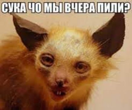 ШШШЁЁ _