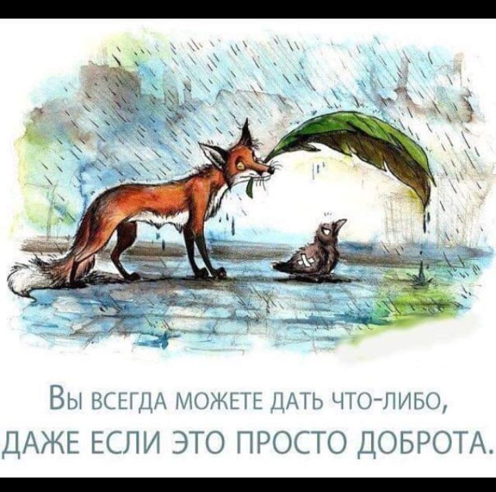 ВЫ ВСНП МОЖЕТЕ АТЬ ЧТО ЛИБО ДАЖЕ ЕСЛИ ЭТО ПРОСТО ДОБРОТА _