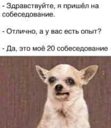 Здравствуйте я пришёл на собеседование Отлично у вас есть опыт да это моё 20 собеседование