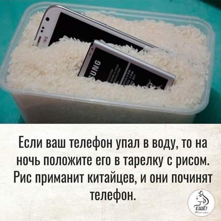 Если ваш телефон упал в воду то на ночь положите его в тарелку с рисом Рио приманит китайцев и они починят телефон 5 ЕШЁ