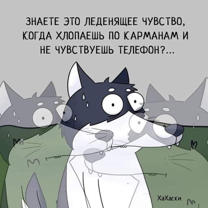 ЗНАЕТЕ ЭТО ЛЕДЕНЯЩЕЕ ЧУВСТВО КОГДА ХЛОПАЕШЬ ПО КАРМАНАМ И НЕ ЧУВСТВУЕШЬ ТЕЛЕФОН