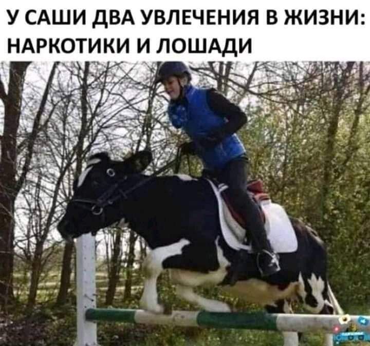 Н 3 И ж _ В Я _ ИИ ым ШШ ЛО ВЛ УИ дИ ИТ шю_ АР СА УН