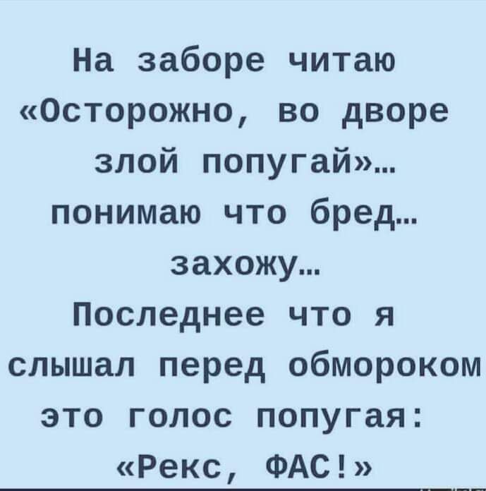 На заборе читаю Осторожно во дворе злой попугай понимаю что бред захожу Последнее что я слышал перед обмороком это голос попугая Рекс ФАС