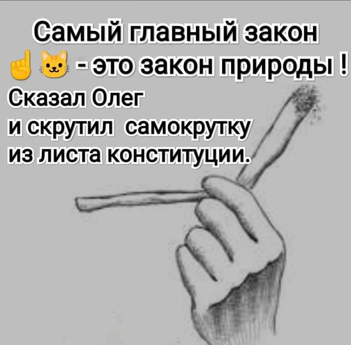 Самый главный закон 8 это закон природы Сказал Олег и скрутил самокрутку ИЗ ЛИСТЗ КОНСТИТУЦИИИ