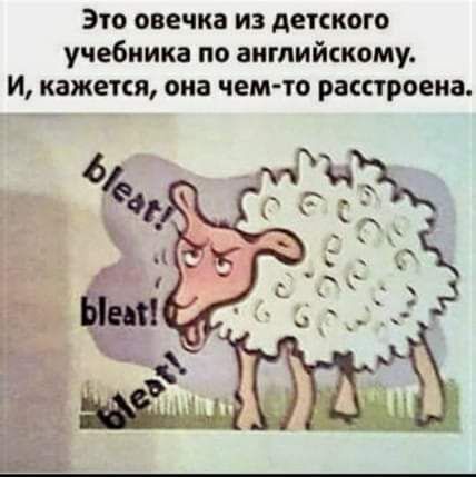 Это овечка из детского учебника по английскому и кажется она чемто расстроена _ЬБ