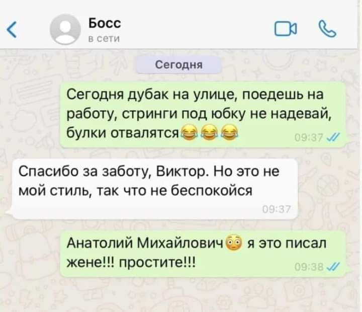 Босс С Сегодня Сегодня дубак на улице поедешь на работу стринги под юбку не надевай булки отвалятся их Спасибо за заботу Виктор Но это не мой стиль так что не беспокойся Анатолий Михайловичф я это писал жене простите