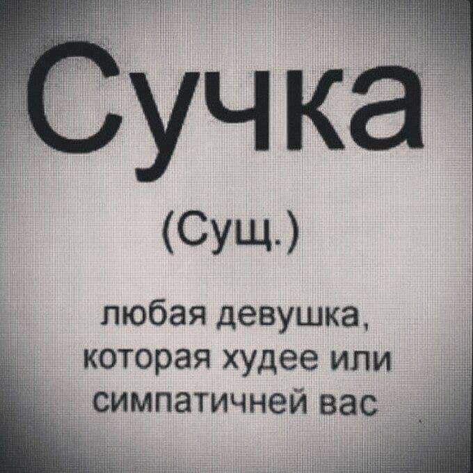 учка сущ любая девушка которая худее или симпатичней вас