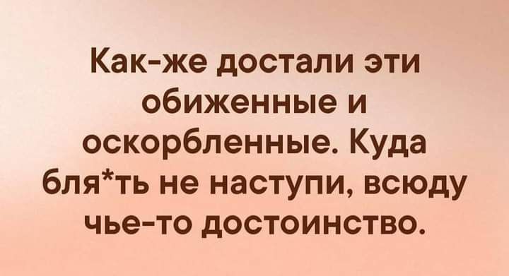 Как же достали эти обиженные и оскорбленные Куда блять не наступи всюду чье то достоинство