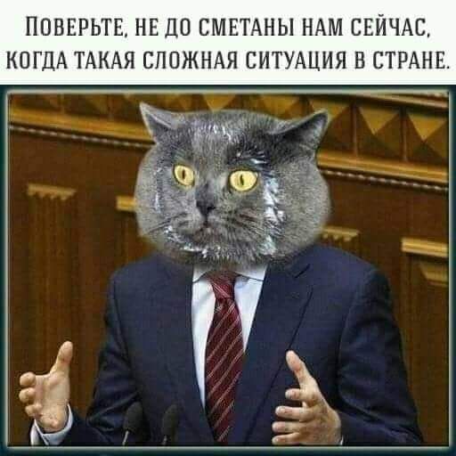ПОНЕРЬТЕ НЕ ЦО СМЕТАНЫ НАМ СЕЙЧАС КОГДА ТАКАЯ СЛОЖНАЯ СИТУАЦИЯ В СТРАНЕ