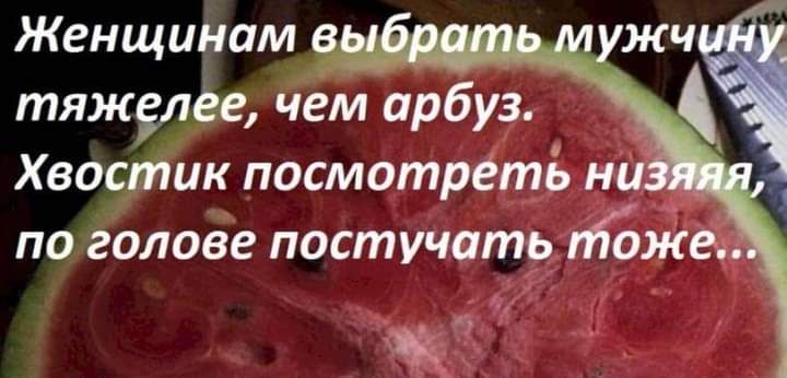 Женщинам тяжлее чем арбуз Хвостик посмотреть ни по голове постучать боже