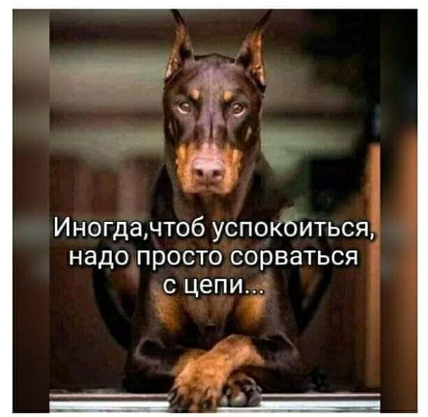 Иногдачтоб успокоиться надопросто сорваться це гг