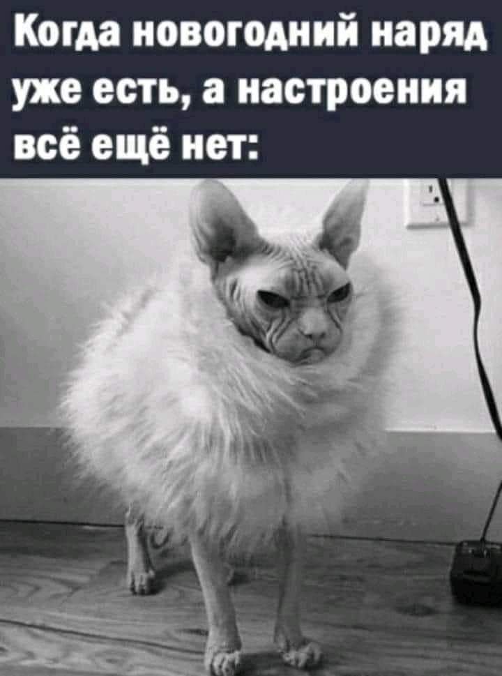 Когда новогодний наряд уже есть а настроения всё ещё нет