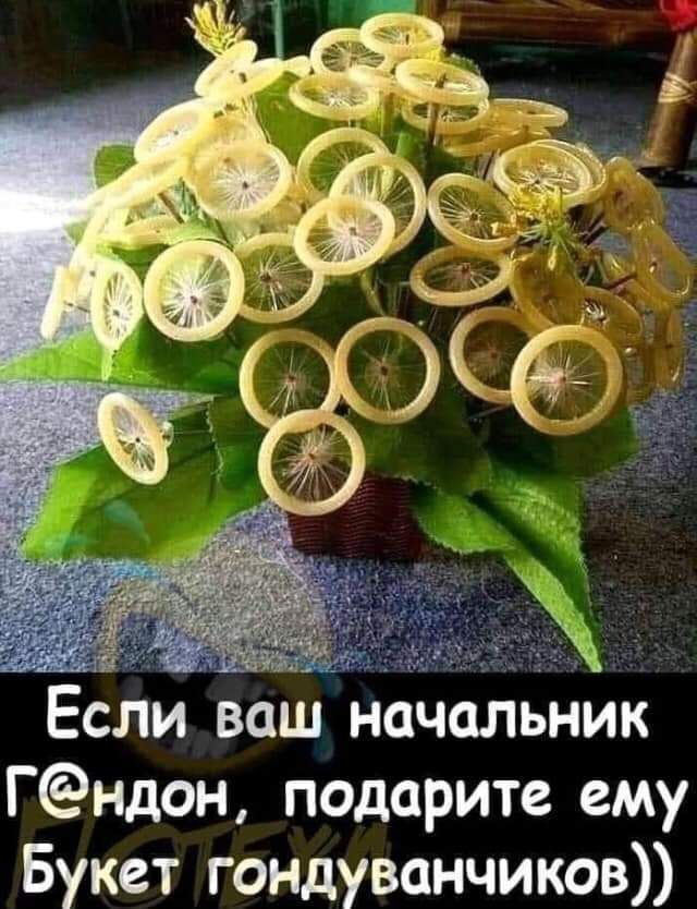 Если ваш наЧЬльНИк Гндон подарите ему Букет гондуванчиков