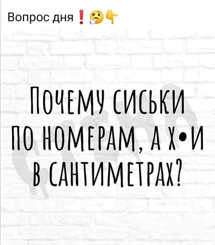 Вопоснярд9Ч ПОЧЕМУ ИСЬКИ ПО НОМЕРАМ д ХИ В АНХИМПРАХ