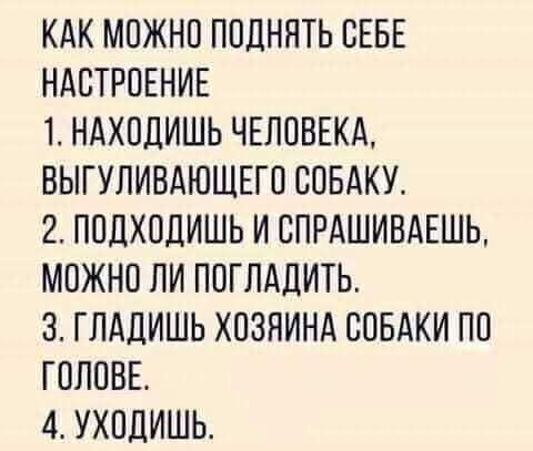 КАК МОЖНО ПОДНЯТЬ СЕБЕ НАСТРОЕНИЕ 1 НАХОДИШЬ ЧЕЛОВЕКА ВЫГУЛИВАЮЩЕГО СОБАКУ 2 ПОДХОДИШЬ И СПРАШИВАЕШЬ МОЖНО ЛИ ПОГЛАДИТЬ З ГЛАДИШЬ ХОЗЯИНА СОБАКИ ПО ГОЛОВЕ 4 УХОДИШЬ