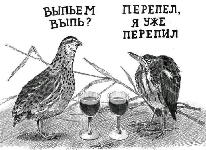 Фыпьем  перепел, 'выпь? Я уже перепил