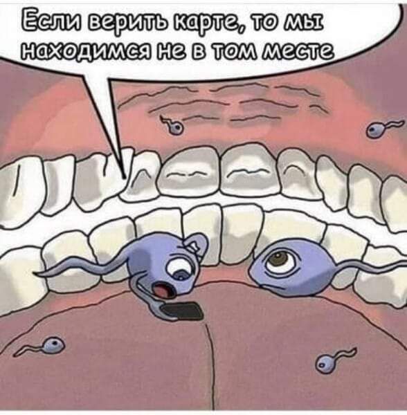 тввтщщаав