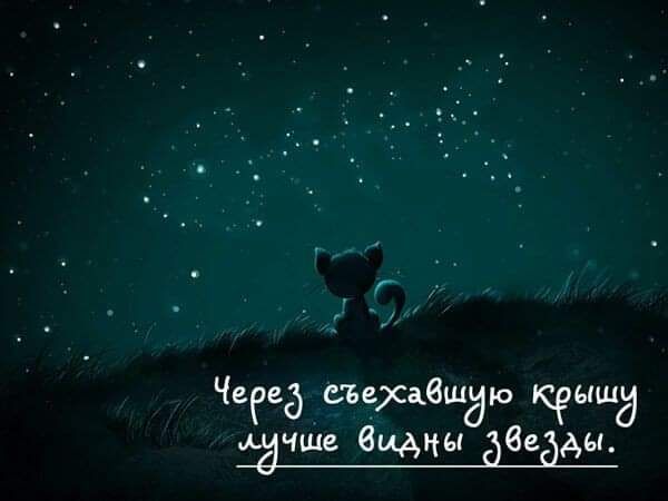 Чееед шерсаьвшдю крыша Шчше видны Звезды