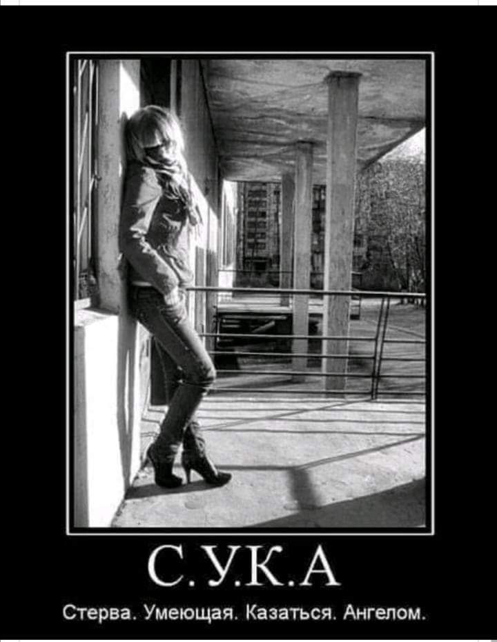 СУКА Стерва Умеющая Казаться Ангелом