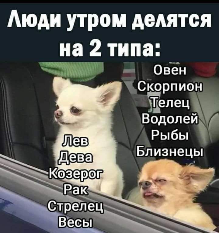Люди утром делятся на 2 типа: о я овен х с;ерпион елецк водолей  рыбы близнець