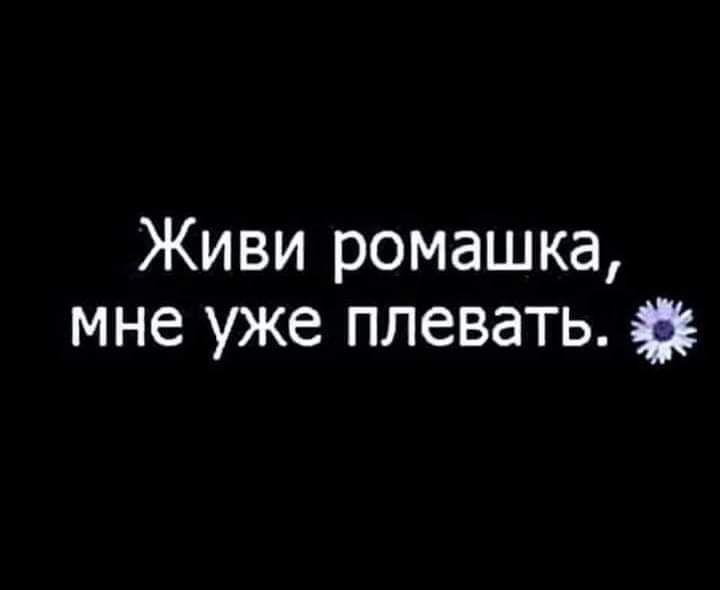 Живи ромашка мне уже плевать