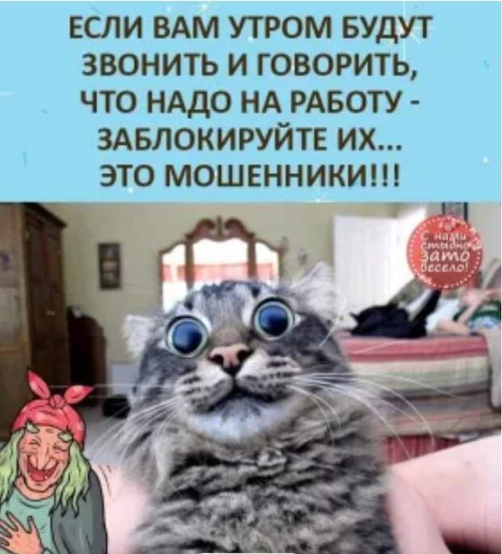 А вам это надо. Если вам утром будут звонить и говорить что надо на работу. Если вам будут звонить и говорить что на работу заблокируйте. Если вам звонят и говорят надо на работу заблокируйте. Если с утра будут звонить с работы.