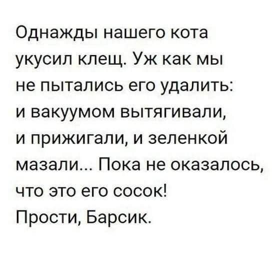 Однажды нашего кота укусил клещ Уж как мы не пытались его удалить и вакуумом вытягивали и прижигали и зеленкой мазали Пока не оказалось что это его сосок Прости Барсик