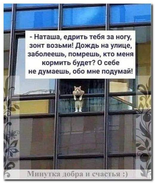 Наташа едрить тебя за ногу зонт возьми дождь на улице заболеешь помрешь КТО МЕНЯ кормить будет О себе не думаешь обо мне подумай