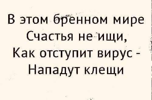В этом бренном мире Счастья неищи Как отступит вирус Нападут клещи Ё т
