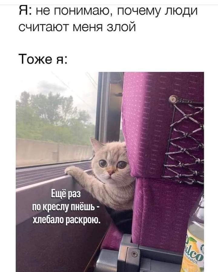 Я не понимаю почему люди считают меня злой Тоже я по креслу пиёшь хлебало раскрою