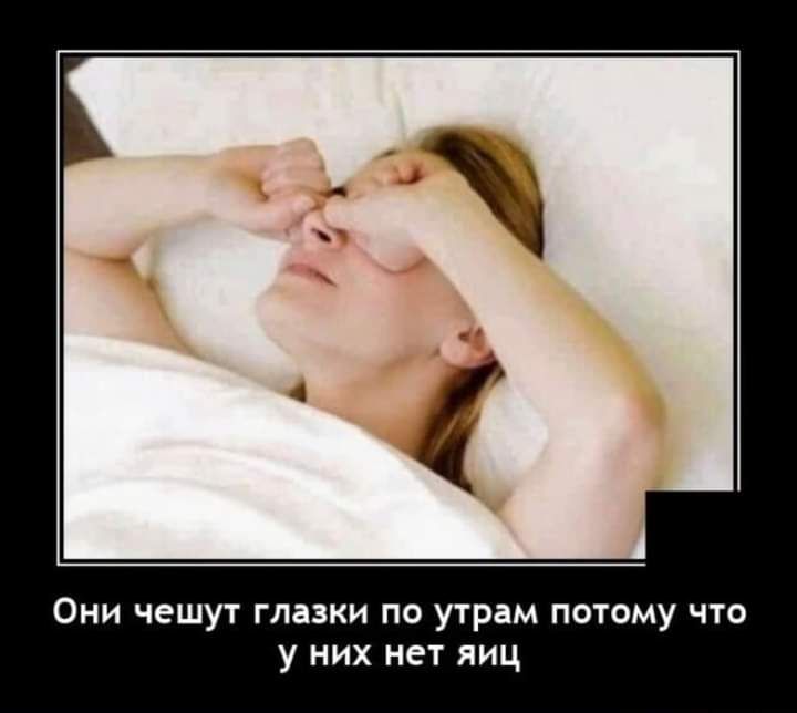 Они чешут глазки по утрам потому что у них нет яиц