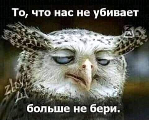 То что нас не убивает болыйё йе бёйи