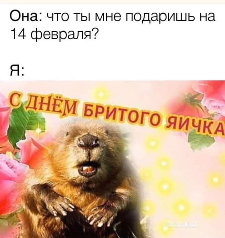 Она что ты мне подаришь на 14 февраля