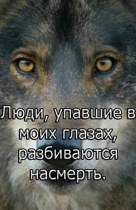 разбива ются НЭСМЭ ТБ Ё