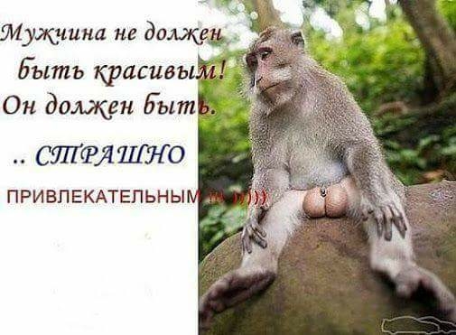 Быть красит э Он должен Еыті СБЛТФЯ 0 привпвкмепьны