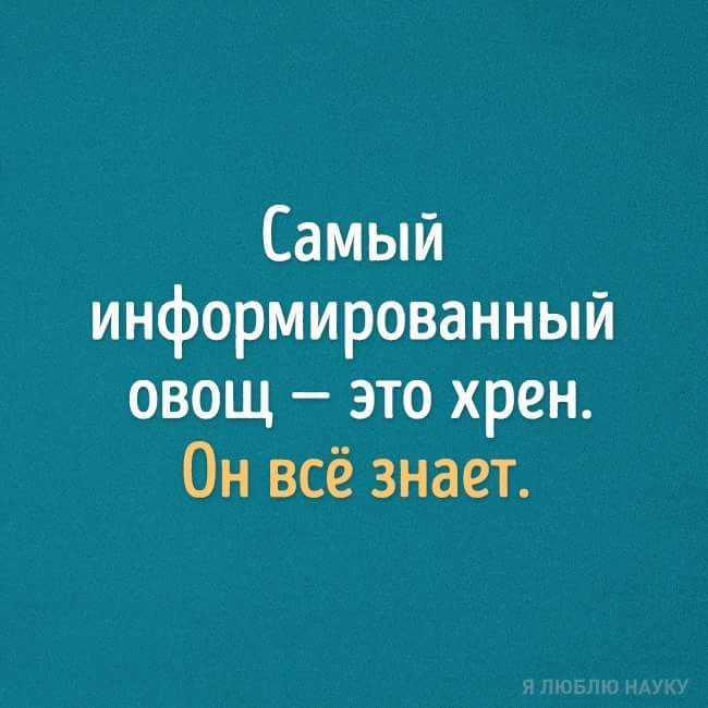 Самый информированный овощ это хрен Он всё знает
