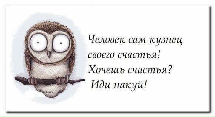 Человек сам кузнец своего счастья Хочешь счастья Иди накуй