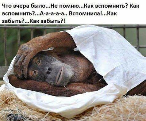 Чт вчера былоНе помнюКак вспомнить Как вспомнитьА а а а а ВспомнилаКа забыть Как эабьпь