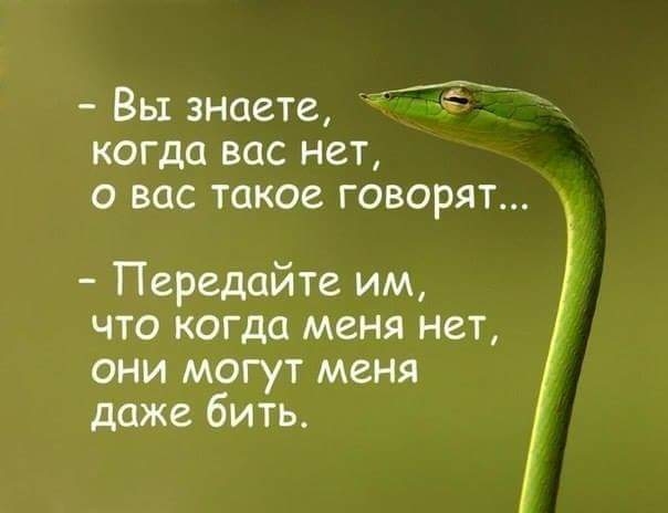 Вы знаете когда вас нет о вас такое говорят Передайте им что когда меня нет они могут меня даже бить