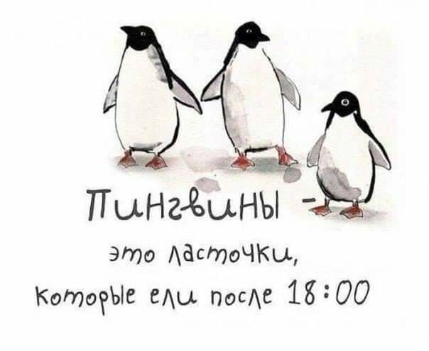 это АдстоЧКы Котоеъіе еды посС 1800